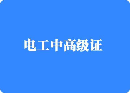 全插进来了高H电工中高级证